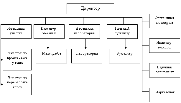 Система показателей экономической эффективности деятельности ЧТПУП «Беловежские вина»