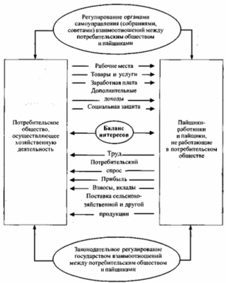 Пайщики, как социальная основа потребительской кооперации