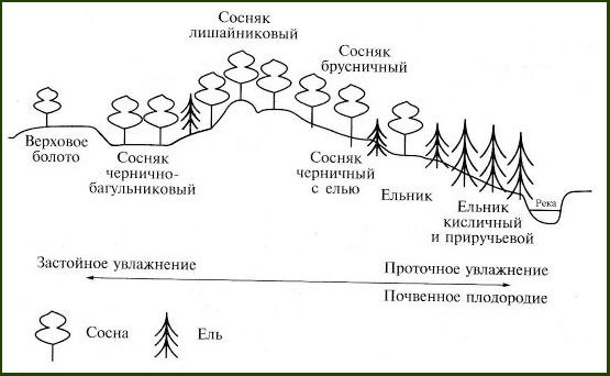Образование среды жизни. Закон РФ об охране окружающей среды