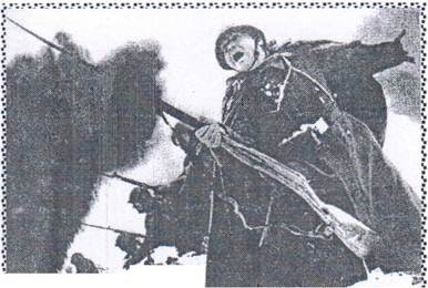 Боевые действия за Матвеев-Курган во время Великой Отечественной войны
