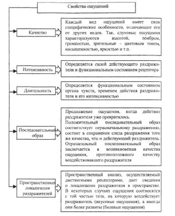 Виды ощущений