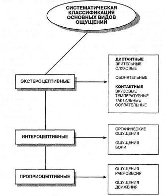 Виды ощущений