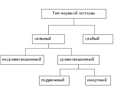 Особенности взаимосвязи свойств нервной системы и типов темперамента