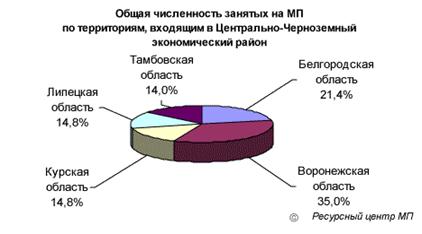 Малое предпринимательство России. Анализ текущего состояния