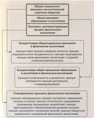 Принципы в системе физического воспитания